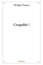 Coupable ! - Preview