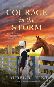 Capa do artigo Courage In The Storm