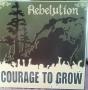 Courage To Grow - Vinil - Preview