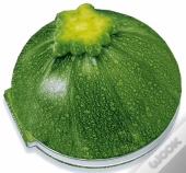 Courgette ; Les Meilleures Recettes