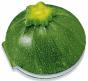 Courgette ; Les Meilleures Recettes - Preview