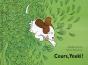 Cours, Youki - Preview
