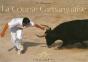 Course Camarguaise - Preview