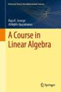 Course In Linear Algebra - Preview