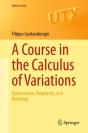 Course In The Calculus Of Variations - Preview