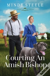 Courting An Amish Bishop