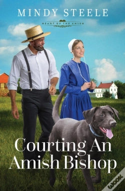 Capa do artigo Courting An Amish Bishop