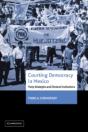 Courting Democracy In Mexico - Preview
