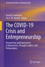 Covid-19 Crisis And Entrepreneurship - Preview