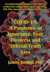 Capa do artigo Covid-19