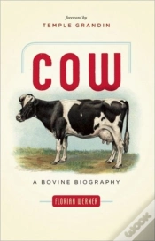 Capa do artigo Cow