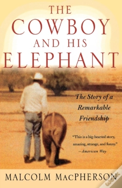 Capa do artigo Cowboy And His Elephant, The