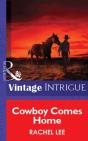 Cowboy Comes Home - Preview