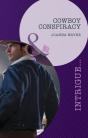 Cowboy Conspiracy - Preview
