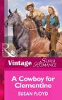Cowboy For Clementine - Preview