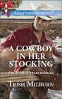 Cowboy In Her Stocking - Preview