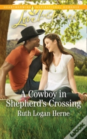 Capa do artigo Cowboy In Shepherd
