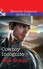 Cowboy Incognito - Preview