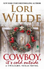 Cowboy, It'S Cold Outside - Preview