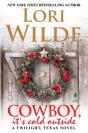 Cowboy, It'S Cold Outside - Preview