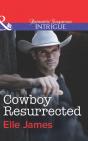 Cowboy Resurrected - Preview