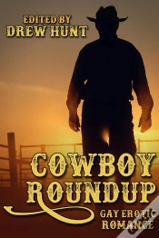Capa do artigo Cowboy Roundup