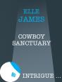Cowboy Sanctuary - Preview