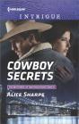 Cowboy Secrets - Preview