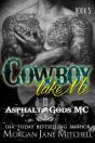 Cowboy, Take Me - Preview
