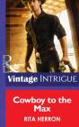 Cowboy To The Max - Preview