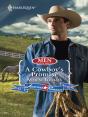 Cowboy'S Promise - Preview