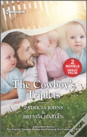 Capa do artigo Cowboy