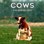Cows Calendar 2021 - Preview