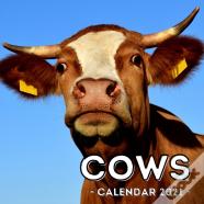 Cows Calendar 2021