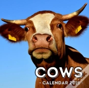 Capa do artigo Cows Calendar 2021