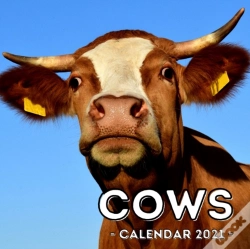 Capa do artigo Cows Calendar 2021