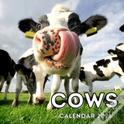 Capa do artigo Cows Calendar 2021