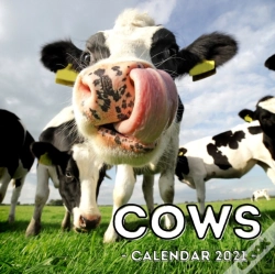 Capa do artigo Cows Calendar 2021