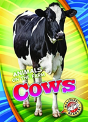 Cows - Preview