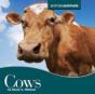Cows - Preview