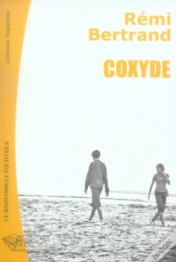 Capa do artigo Coxyde