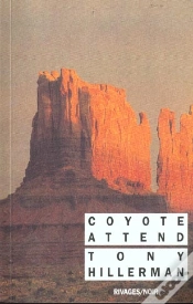 Capa do artigo Coyote Attend