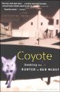 Coyote - Preview