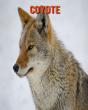 Coyote - Preview