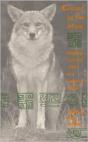 Coyote In The Maze - Preview