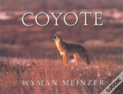 Capa do artigo Coyote