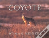 Coyote