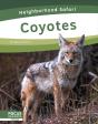 Coyotes - Preview