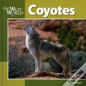 Coyotes