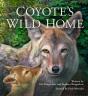 Coyote'S Wild Home - Preview